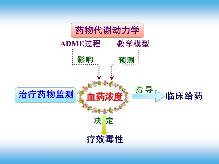 第二章 药物代谢动力学与治疗药物监测课件.pptx_第3页