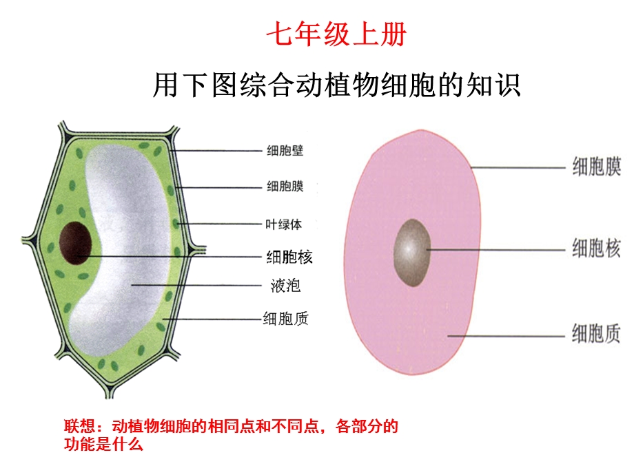 生物综合复习ppt课件四本书.ppt_第2页