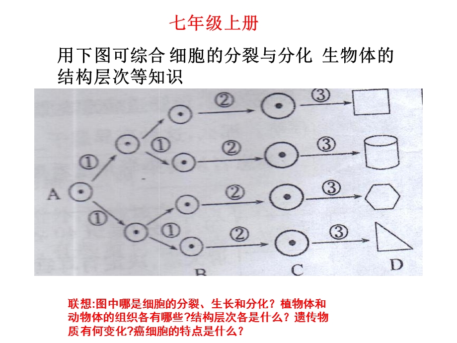 生物综合复习ppt课件四本书.ppt_第3页