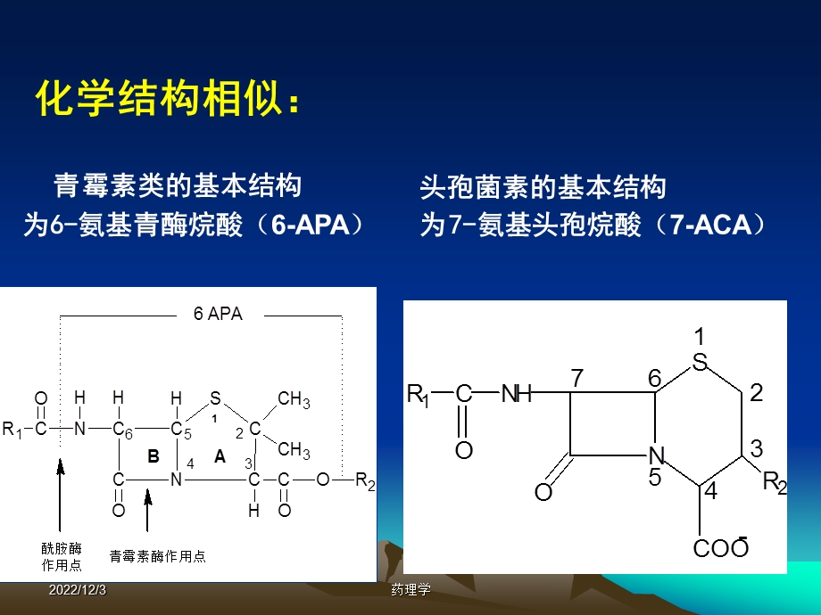 药理学课程第二十八篇内酰胺类抗生素课件.ppt_第2页