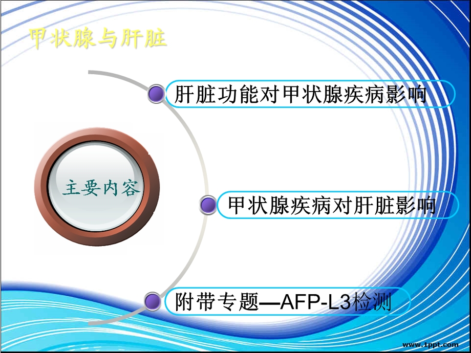 甲状腺功能与肝功能浅析课件.ppt_第2页