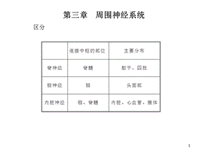 第二章 周围神经系统课件.ppt