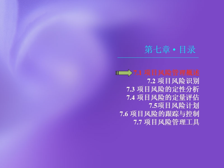 第07章项目风险管理课件.ppt_第3页