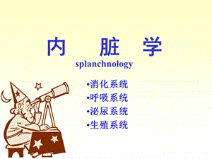 解剖学消化系统第一章消化管课件.ppt