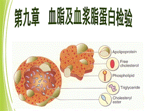 第九章血脂及血浆脂蛋白检验课件.ppt