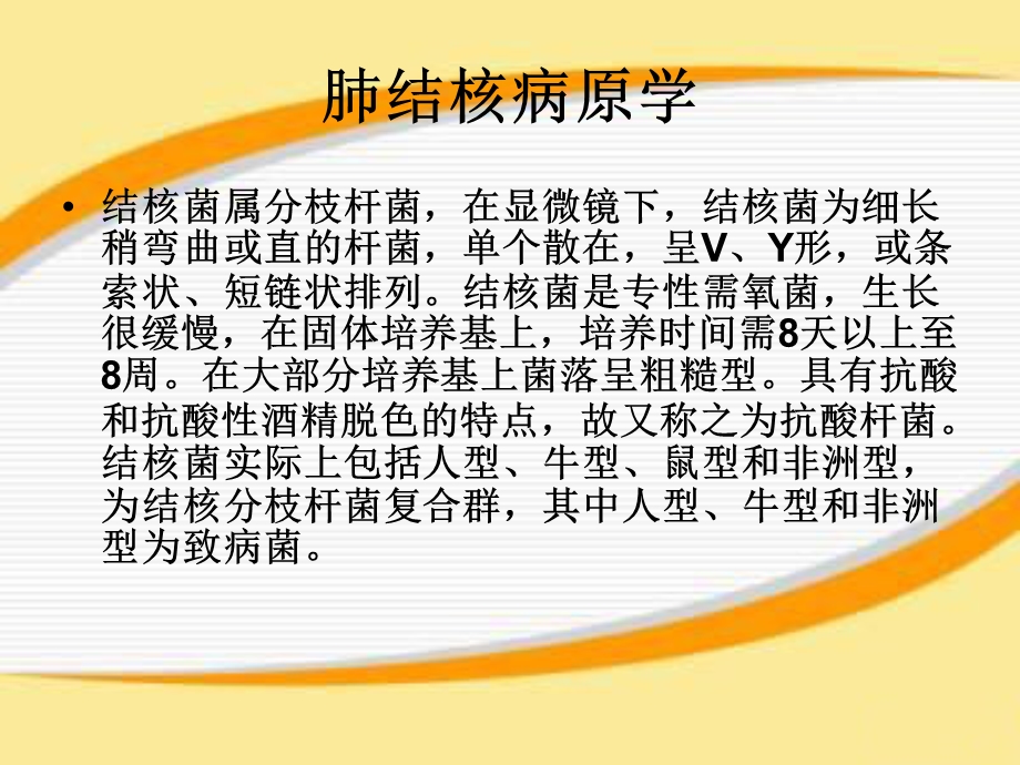 肺结核治疗护理课件.ppt_第2页