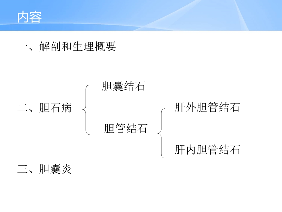 胆囊炎、胆石症课件.ppt_第2页