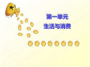 神奇的货币 课件.ppt