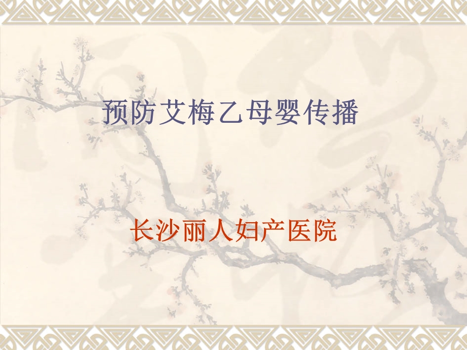 艾梅乙培训课件.ppt_第1页