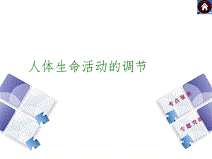 生物自习课ppt课件.ppt