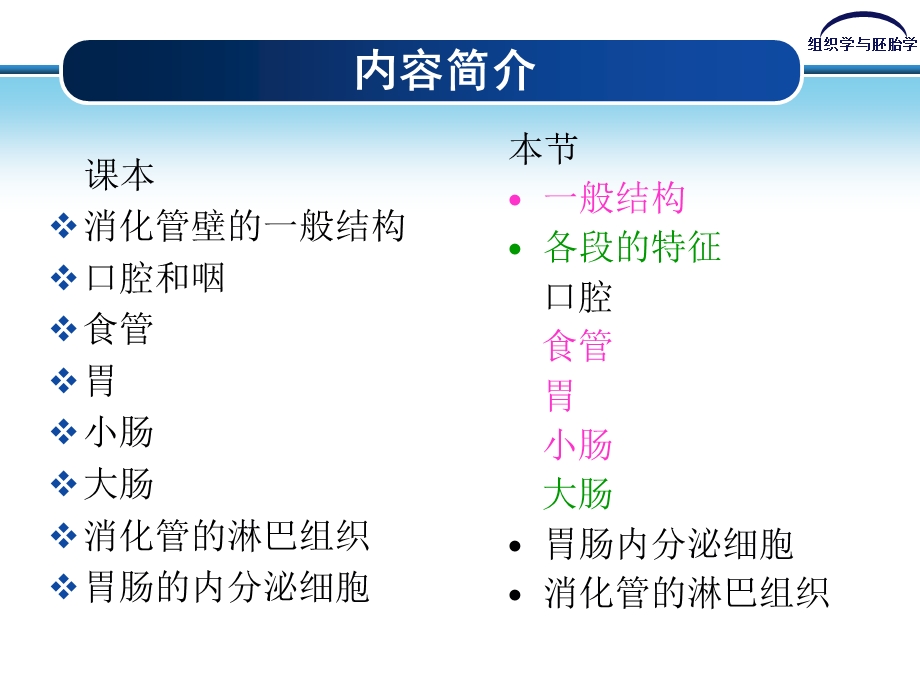 第14章 消化管课件.ppt_第3页