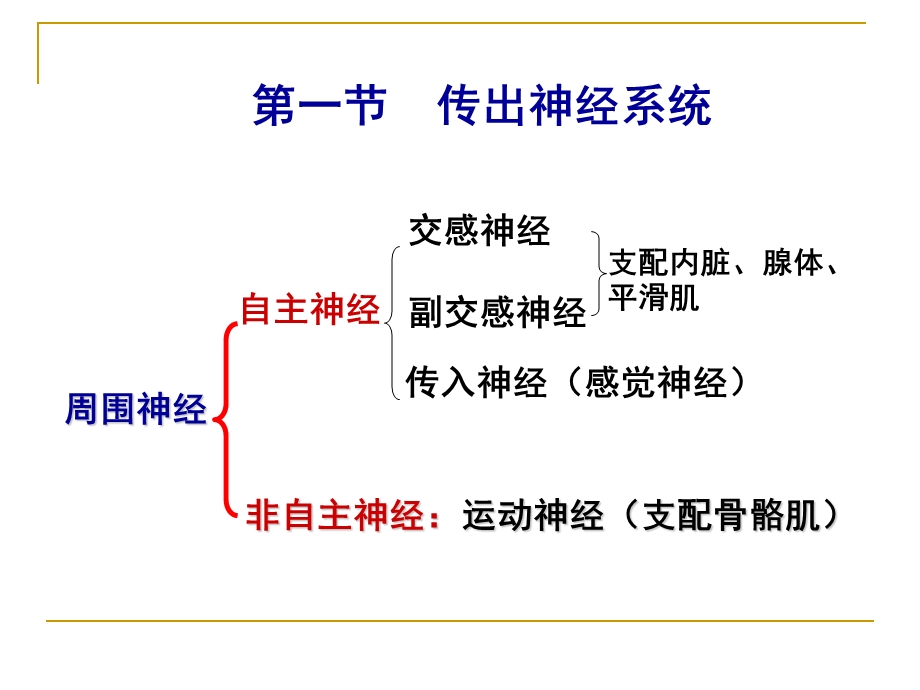 药理学第二章外周神经系统药理课件.ppt_第3页