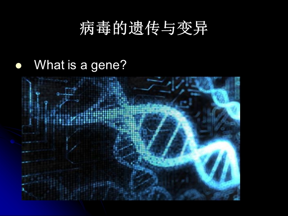 第三讲 病毒的遗传变异课件.ppt_第2页