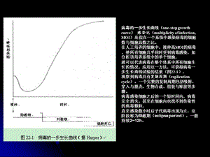 第三讲 病毒的遗传变异课件.ppt