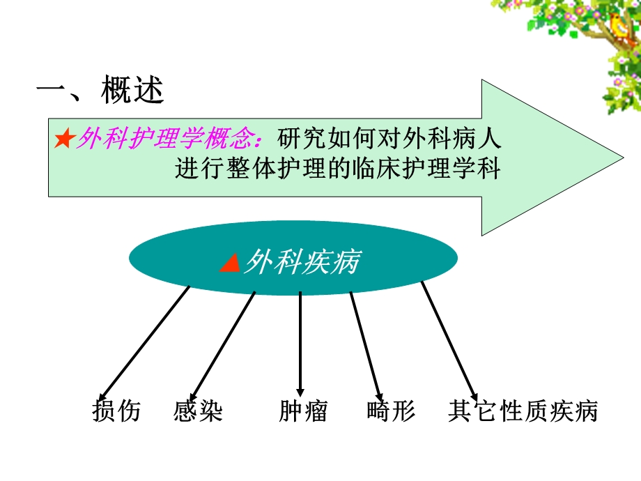 第一讲绪论与损伤病人护理课件.ppt_第3页