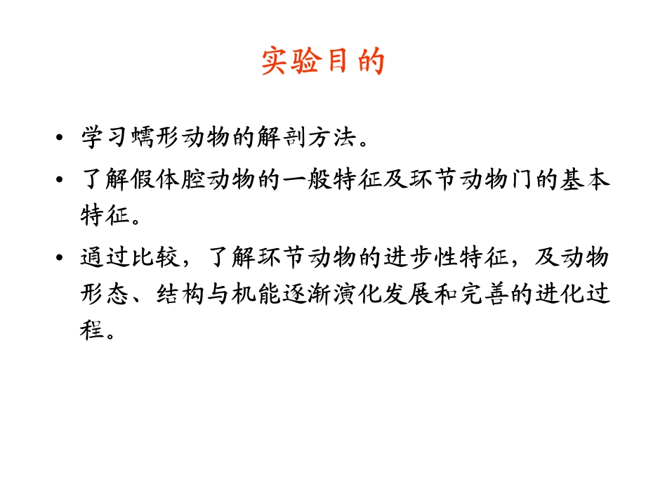 蛔虫和环毛蚯的比较解剖讲解课件.ppt_第2页