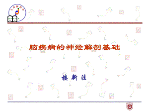 神经系统疾病解剖课件.ppt