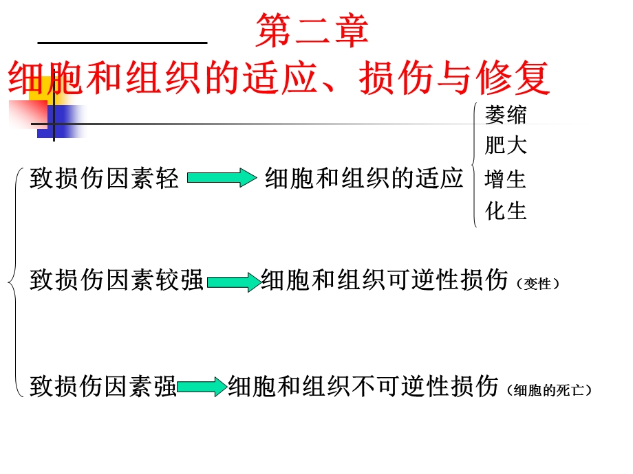 第1章细胞和组织的适应损伤与修复课件.ppt_第1页