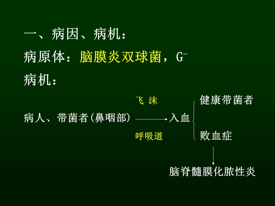 病理学 流脑和乙脑课件.ppt_第3页