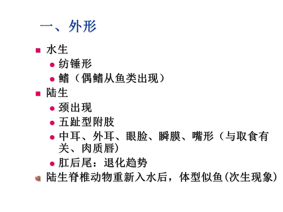 生物竞赛脊椎动物各器官系统进化顺序比较课件.ppt_第2页