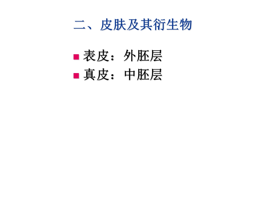 生物竞赛脊椎动物各器官系统进化顺序比较课件.ppt_第3页