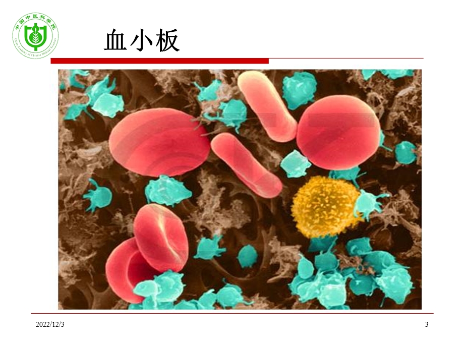 血小板聚集与临床应用课件.ppt_第3页