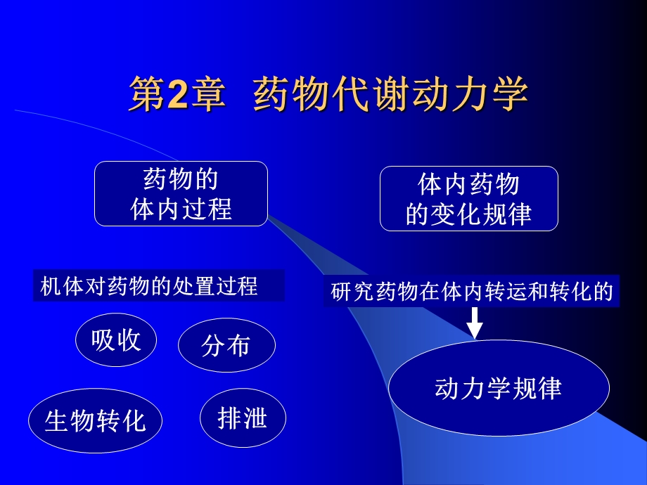 第2章 11 药物代谢动力学课件.ppt_第2页