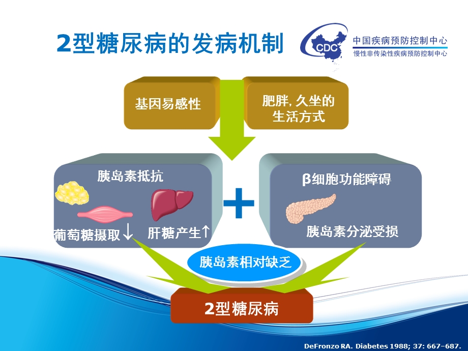 糖尿病的药物治疗课件.ppt_第3页