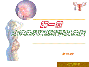 第一节女性生殖系统解剖课件.ppt