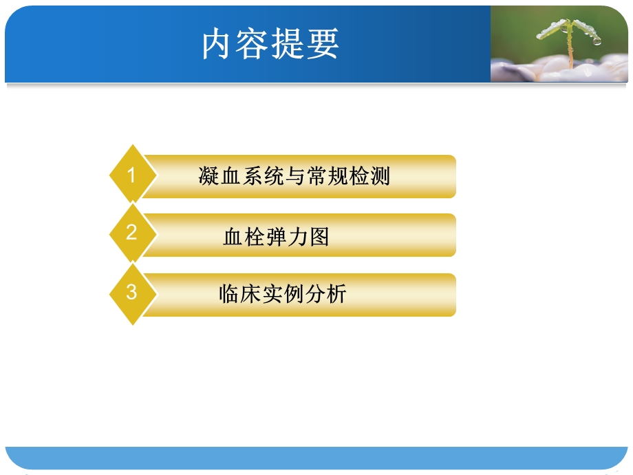 血栓弹力图课件.ppt_第2页