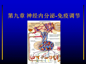 第九章 神经内分泌序论课件.ppt