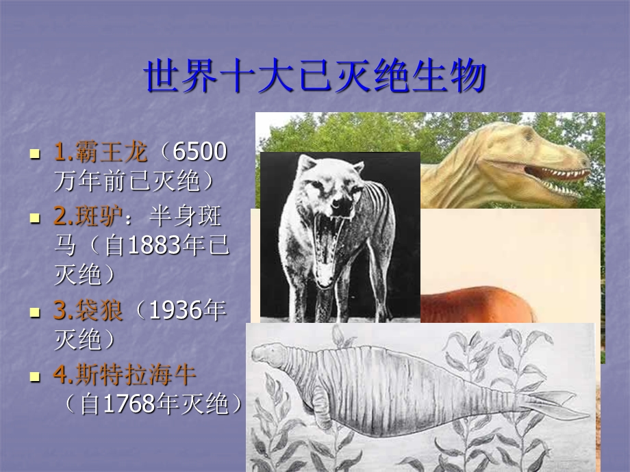 生物多样性锐减课件.ppt_第2页