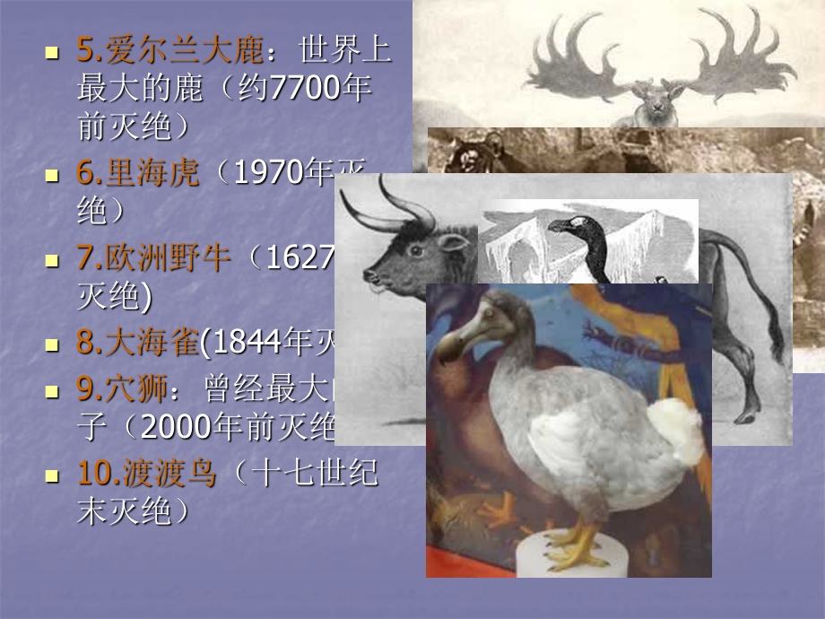 生物多样性锐减课件.ppt_第3页