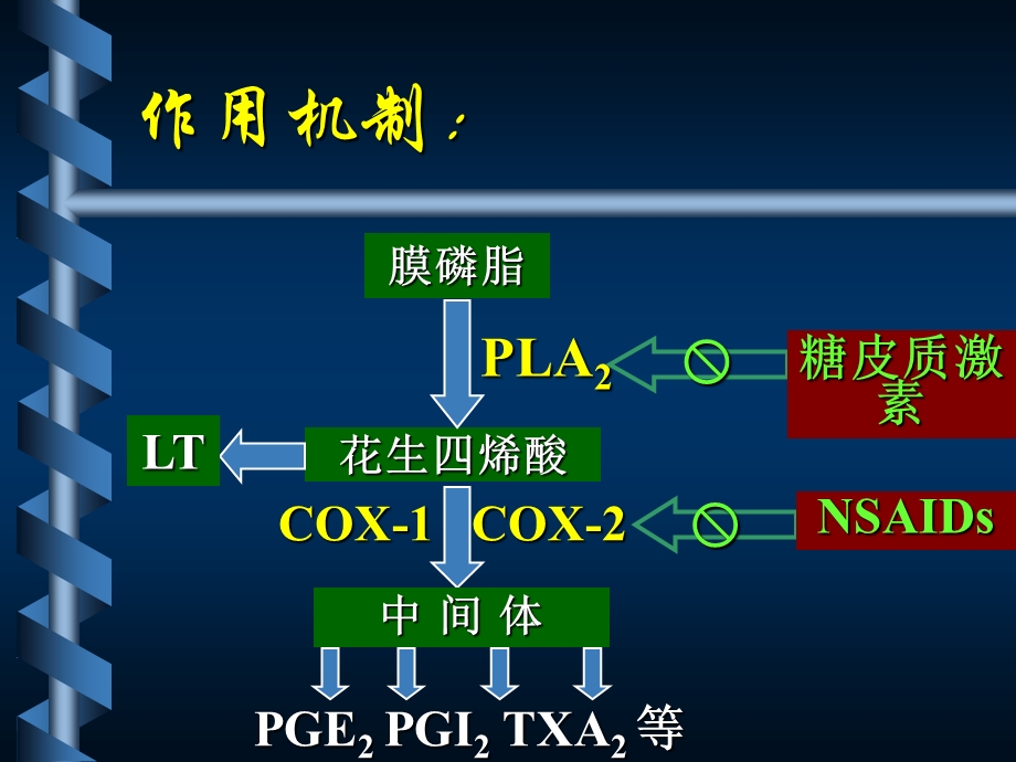 第15章 解热镇痛抗炎药课件.ppt_第3页