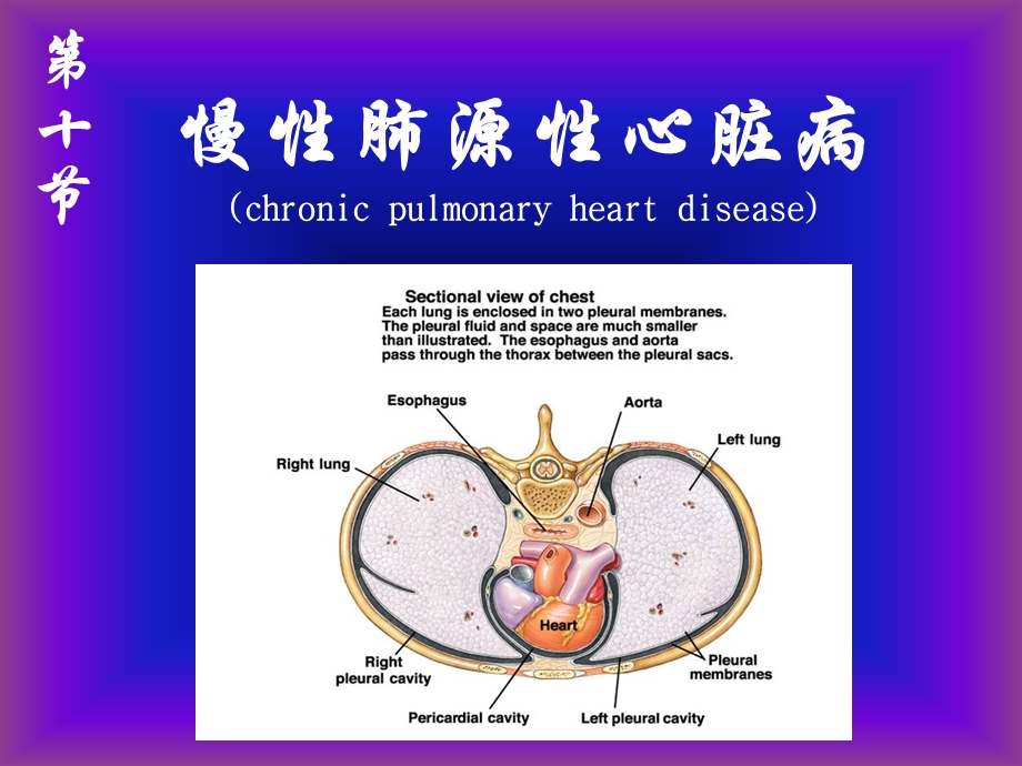 第十节慢性肺源性心脏病(护理)课件.ppt_第1页