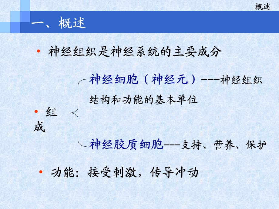 第七章1、神经组织课件.ppt_第3页