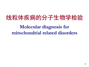 线粒体疾病的分子生物学检验课件.ppt