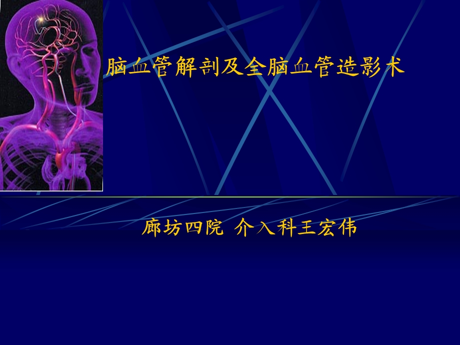 脑血管解剖及造影术课件.ppt_第1页