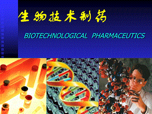 生物技术药物研究开发概论课件.ppt