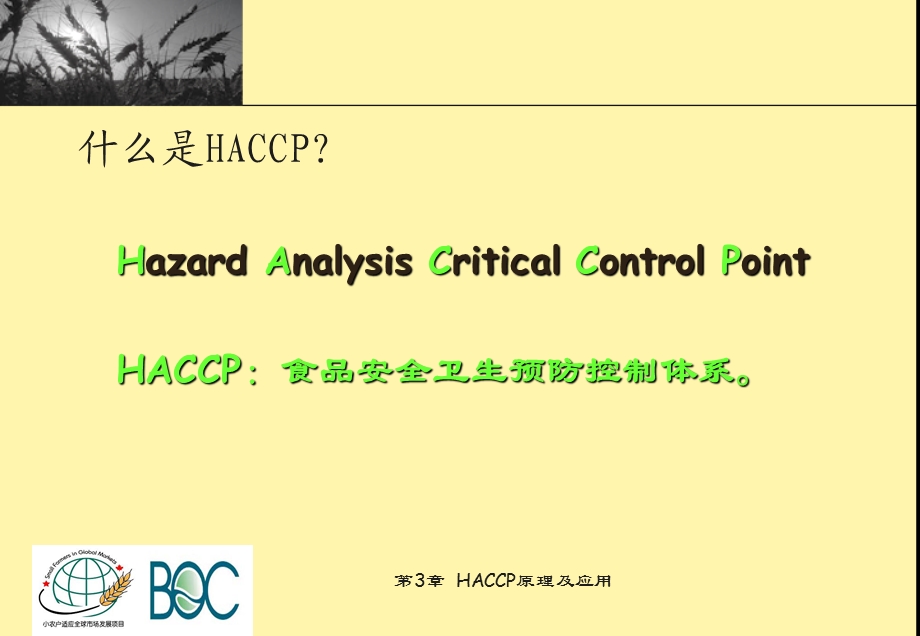 第3章HACCP 原理及其应用课件.ppt_第3页
