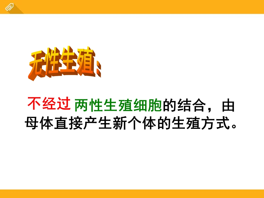 苏教版八年级下册生物 《生物的无性生殖》课件.pptx_第2页