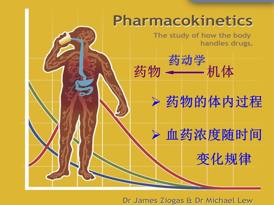 第二章药动学课件.ppt_第3页