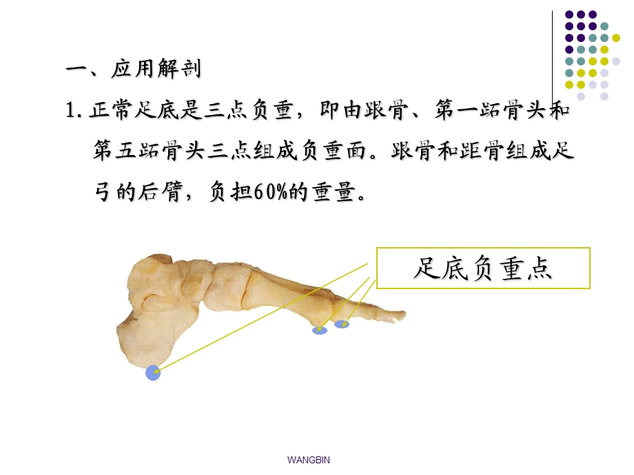 跟骨骨折讲义课件.ppt_第3页