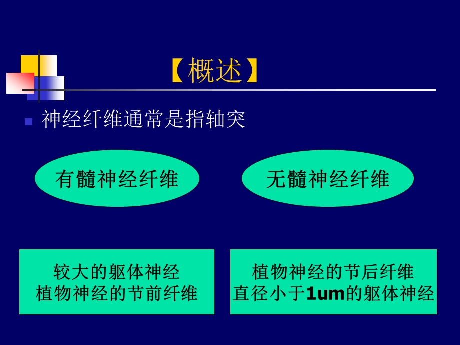 脱髓鞘疾病课件.ppt_第3页