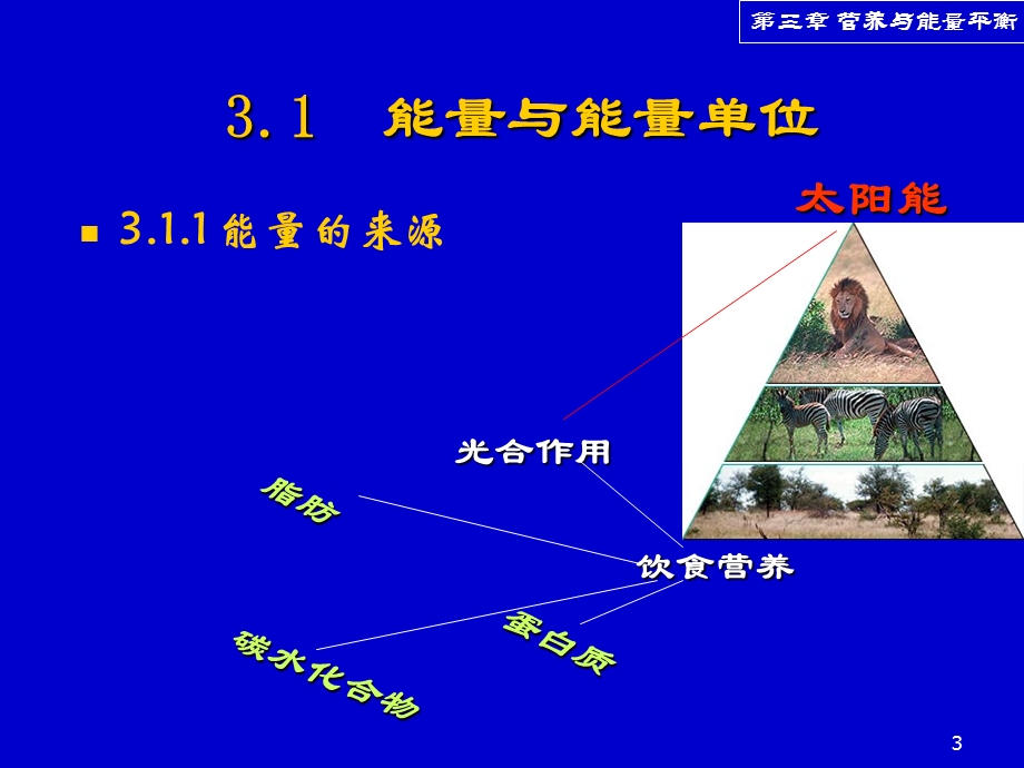 第三章营养与能量平衡课件.ppt_第3页