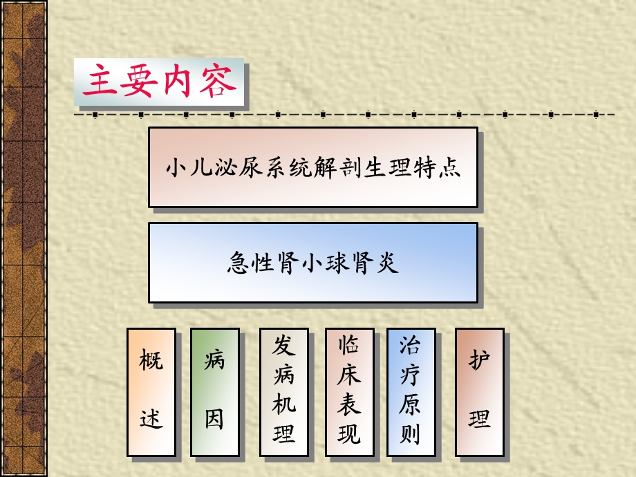 第十章泌尿系统疾病患儿的护理课件.ppt_第3页