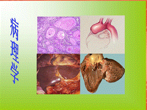 病理学第一章绪论与疾病课件.ppt
