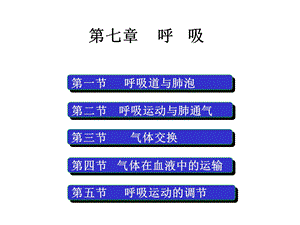 第七章 （生理学）课件.ppt