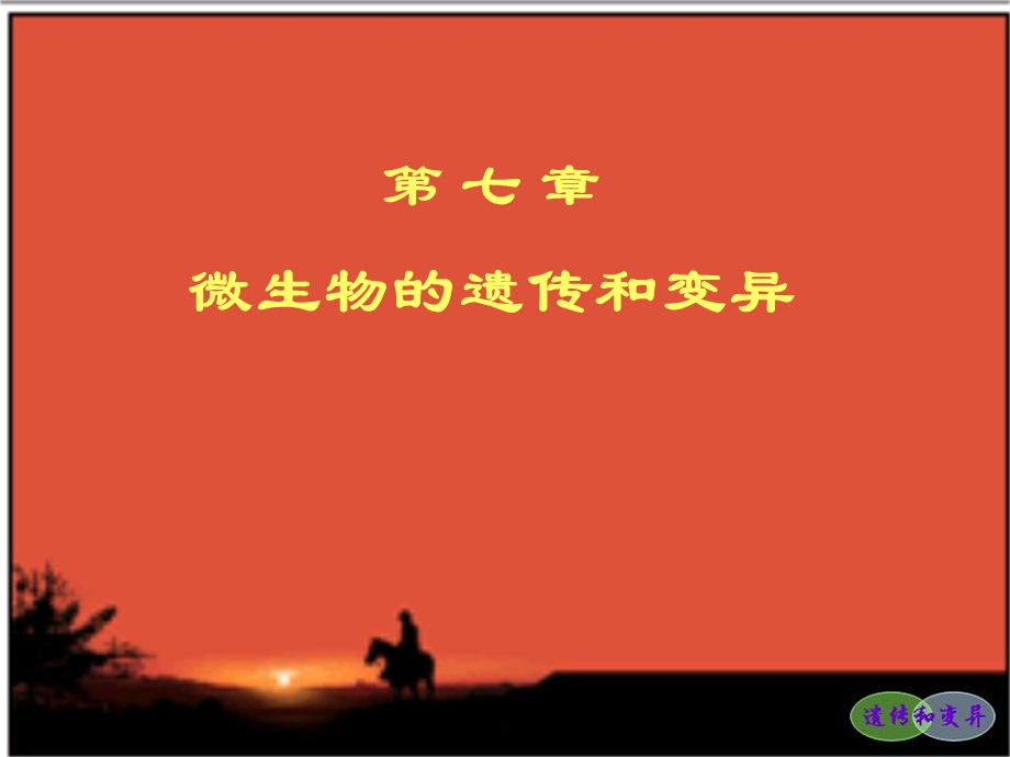 第八章微生物遗传(教学用)课件.ppt_第1页