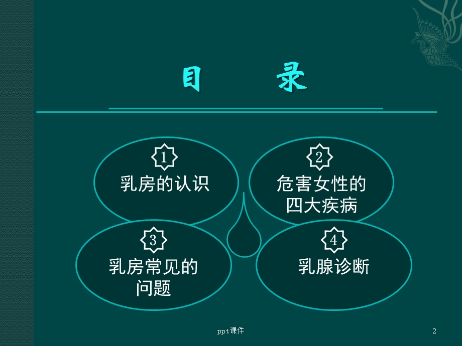 胸部专业知识课件.pptx_第2页